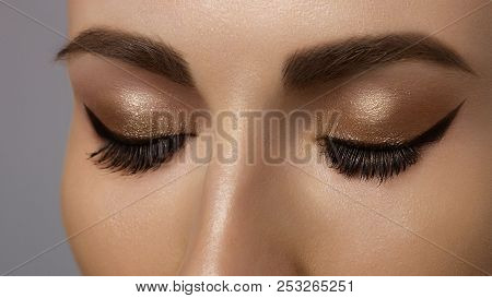 Beautiful Macro Shot Of Female Eye With Extreme Long Eyelashes And Smoky Makeup. Perfect Eyebrows An