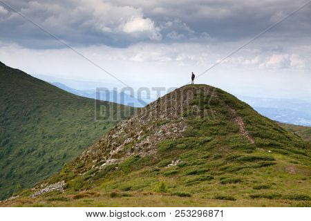 mountain view with green firs, Tibles,  Romania