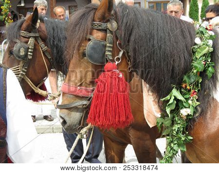 Guca, Serbia, August 11, 2018. 57th Trumpet Festival In Guca. Worldwide Known Music Festival In Serb