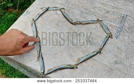 The Hand Takes The Fish. Heart Of Food. Heart Of Capelin Fish. Creation.