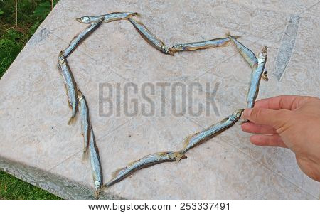 The Hand Takes The Fish. Heart Of Food. Heart Of Capelin Fish. Creation.