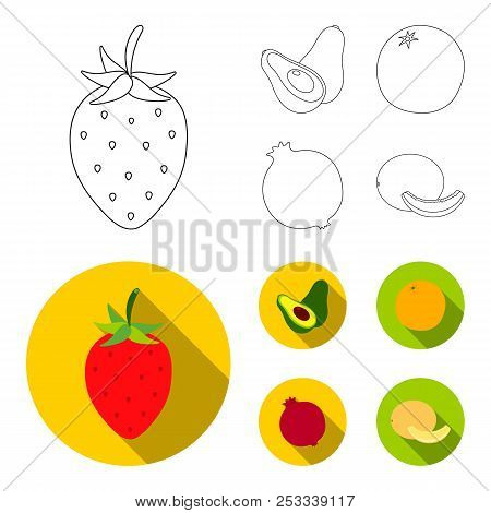 Strawberry, Berry, Avocado, Orange, Pomegranate.fruits Set Collection Icons In Outline, Flat Style V
