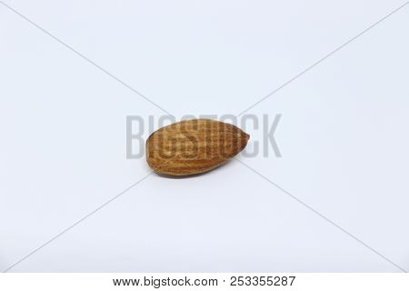 Natural Almond Kernel Is Isolated On White Background.