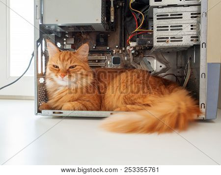 Cute Ginger Cat Lying Inside Computer System Unit. Fluffy Pet Among Wires And Hardware Details.