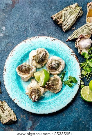 Seafood Picoroco. Prepared Picoroco, Austromegabalanus Psittacus, The Giant Barnacle Or Picoroco. Ch