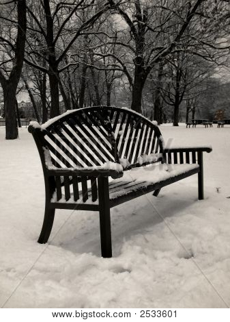 Sneeuw bedekt Bench