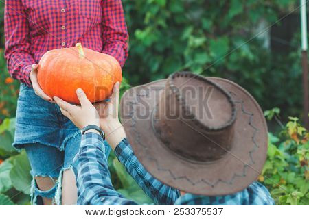 Family Picking Pumpkins At U-pick Farm. Choose A Pumpkin For Halloween In The Garden. Guy With A Gir