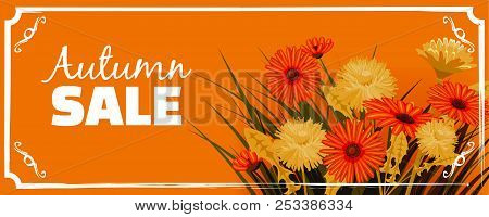 Sale, Autumn Flowers, Fall, Leaves, Banner, Flyers, Card, Autumn Colors, Template, Vector, Illustrat