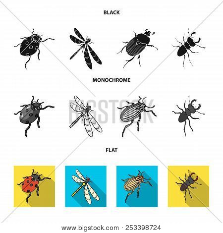 Arthropods Insect Ladybird, Dragonfly, Beetle, Colorado Beetle Insects Set Collection Icons In Black
