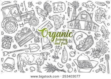 Hand Drawn Organic Farming And Food Set Doodle Vector Background