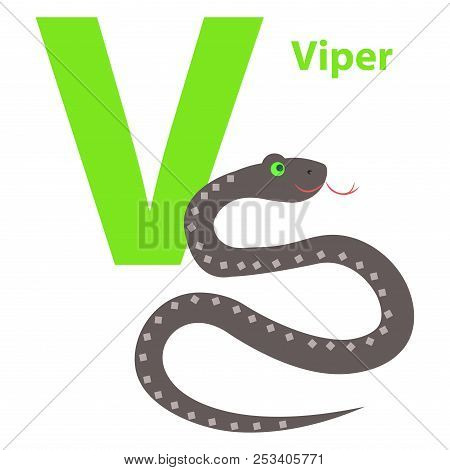 Capital Letter V With Viper On Alphabet Poster Flat Design. Black Ophidian With Green Eyes And Thin 