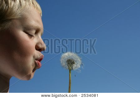 Blow