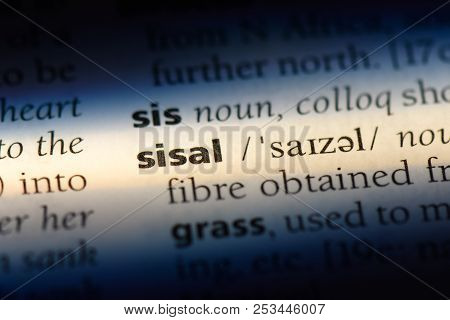 Sisal Word In A Dictionary. Sisal Concept.