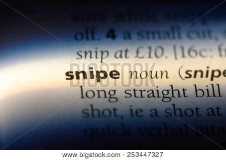 Snipe Word In A Dictionary. Snipe Concept.