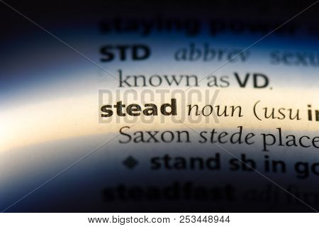 Stead Word In A Dictionary. Stead Concept.
