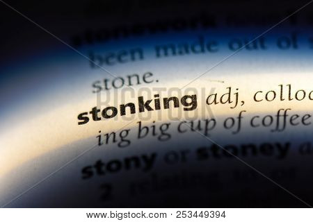 Stonking Word In A Dictionary. Stonking Concept.