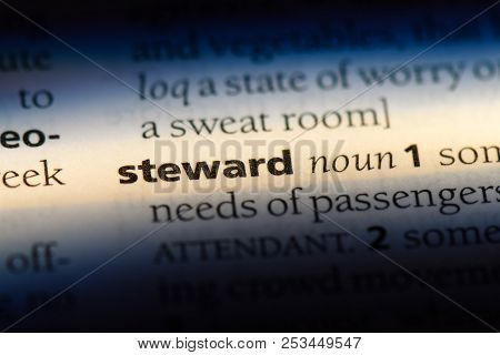 Steward Word In A Dictionary. Steward Concept.