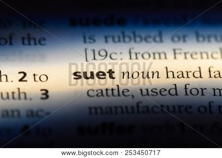 Suet Word In A Dictionary. Suet Concept.