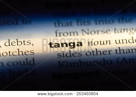 Tanga Word In A Dictionary. Tanga Concept.
