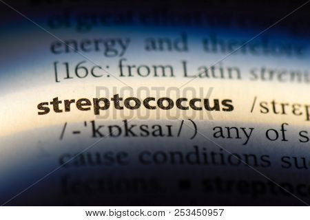 Streptococcus Word In A Dictionary. Streptococcus Concept.