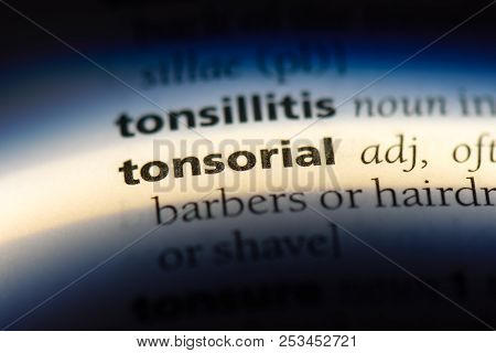 Tonsorial Word In A Dictionary. Tonsorial Concept.