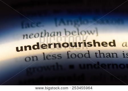 Undernourished Word In A Dictionary. Undernourished Concept.