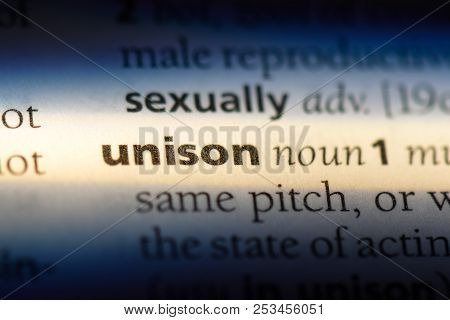 Unison Word In A Dictionary. Unison Concept.