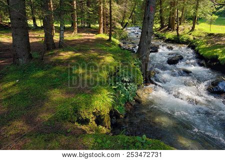 The Mountain River In The Romanian Forest