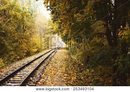 Railway Tracks Landscape Running Through Autumn Forest