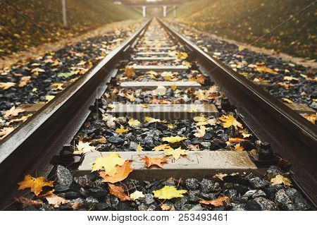 Railway Tracks Closeup Running Through Autumn Forest