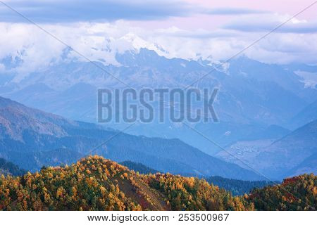 Autumn landscape. Cloudy day in the mountains. Birch on the mountain Mkheer. Zemo Svaneti, Georgia 