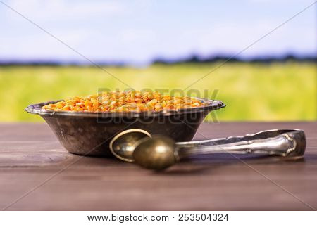 Lot Of Whole Raw Red Lentils And Sugar Tongs In Old Iron Bowl With Green Wheat Field In Background