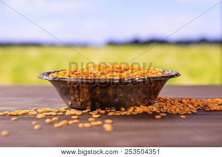 Lot Of Whole Raw Red Lentils In Old Iron Bowl With Green Wheat Field In Background