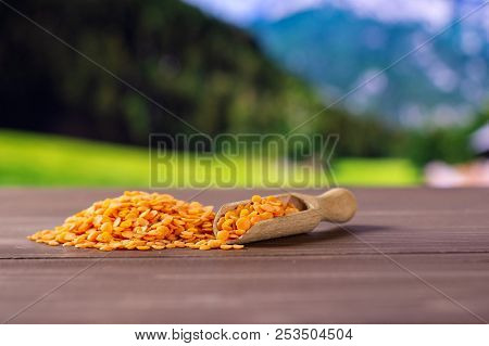 Lot Of Whole Raw Red Lentils With Wooden Scoop With Country Nature In Background