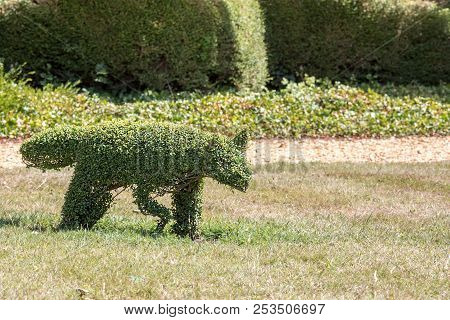 Topiary. Traditional Animal Topiary Bush. Beautiful Fox Animal Sculpture As A Garden Ornament On A L