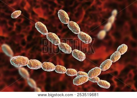 Haemophilus Ducreyi Bacteria, 3d Illustration. Gram-negative Coccobacillus, Which Causes The Sexuall