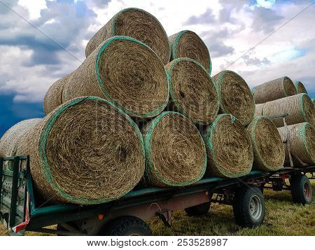 Hay Harvesting At The Fields In Lower Saxony
