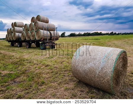 Hay Harvesting At The Fields In Lower Saxony