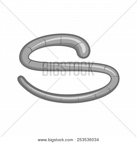 Roundworm Icon In Black Monochrome Style On A White Background Illustration