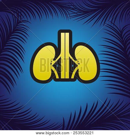 Human Anatomy. Kidneys Sign. Vector. Golden Icon With Black Cont