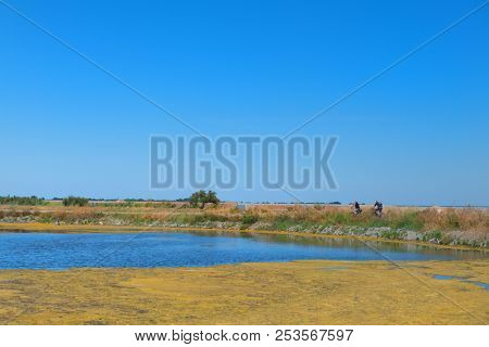 ILE DE RE, FRANCE - JUNE 25 2018: Bicycles on the island Ile the RÃ© on june 25 2018