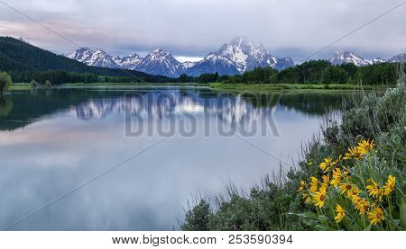 Cloudy Morning At Oxbow Bend Grand Teton National Park