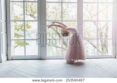 Young Classical Ballet Dancer Girl In Dance Class. Beautiful Graceful Ballerine Practice Ballet Posi