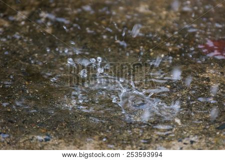 View From Above With Concrete Blocks With Fungus