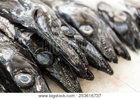 Fish On Market, Black Scabbard (espada) In Fish Market