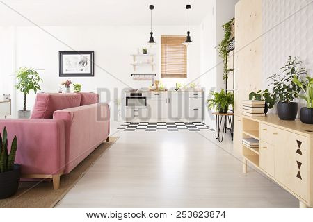Real Photo Of Bright Living Room Interior With Many Fresh Plants, Wooden Cupboard With Books, Pink L