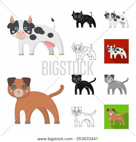 Toy Animals Cartoon, Black, Flat, Monochrome, Outline Icons In Set Collection For Design. Bird, Pred