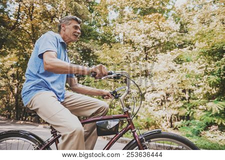 Old Man Sitting On Bicycle In Park In Summer. Healthcare Concept. Relaxing In Park. Active Rest Conc