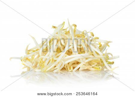 A Bean Sprouts Isolated On White Background