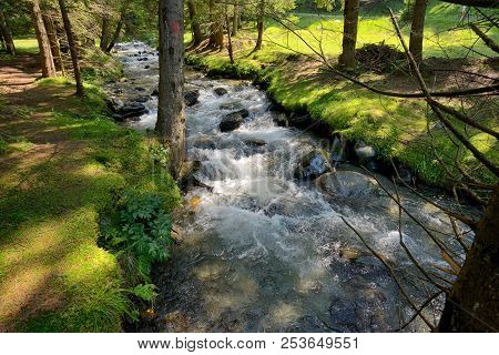 The Mountain River In The Romanian Forest